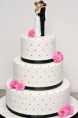 /album/fotogaleria-torty-zakusky-kolace/torta-jpg/